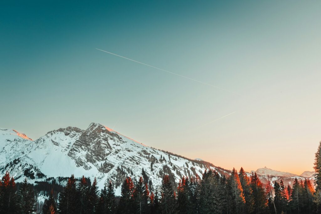 A snow covered mountain with trees in the foreground